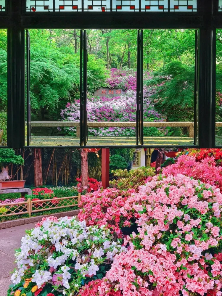 a994c01ae484d4d406c883bade64446f-sz_4140808