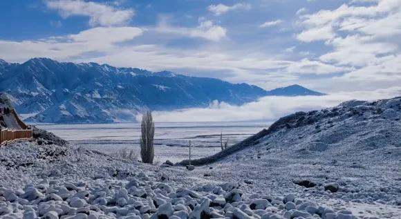 a9e2d5a197329b0ebeef77300c774046-sz_450559