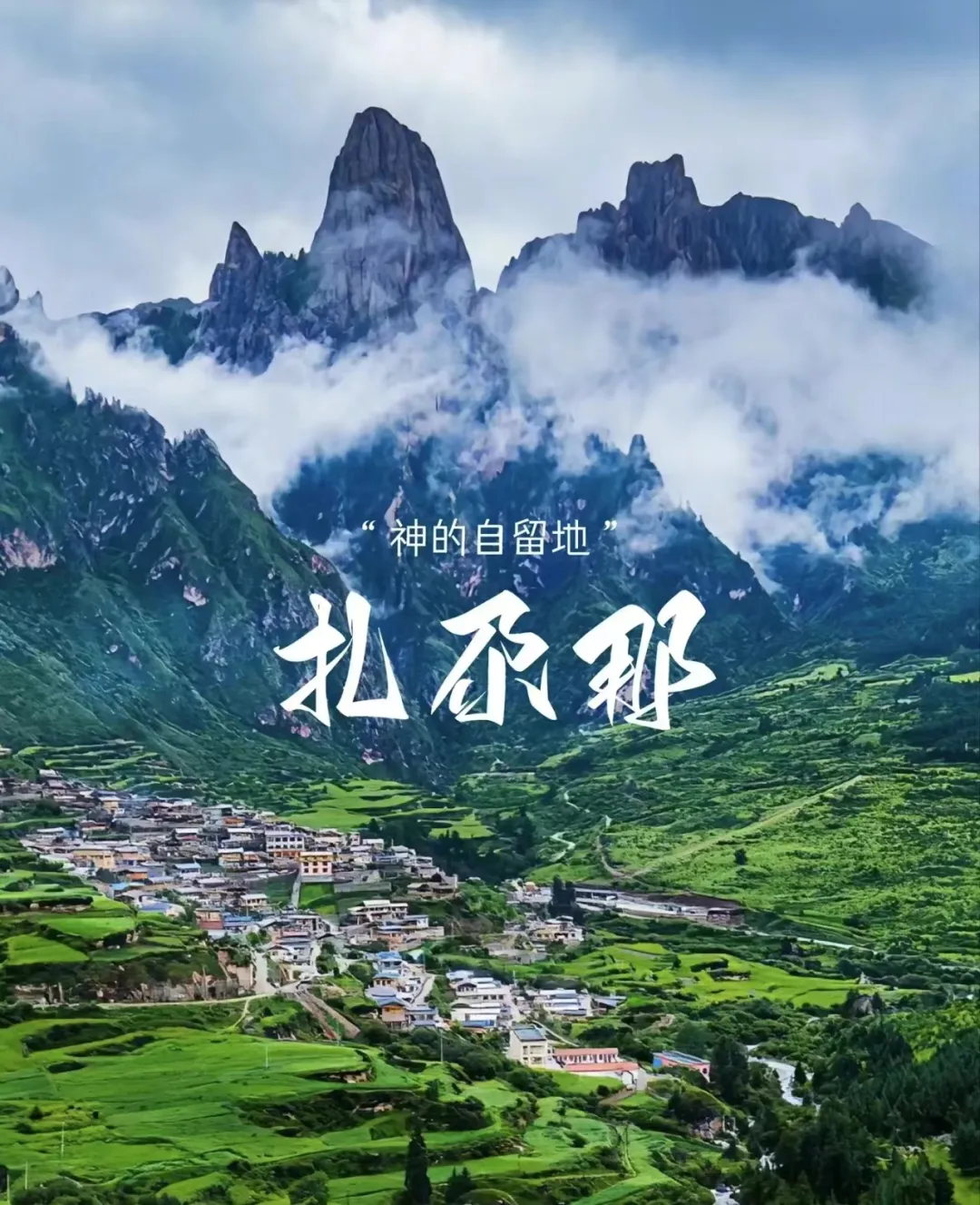 aa3b830cedf297068c9ae8e5e70c2a3d-sz_768915-1