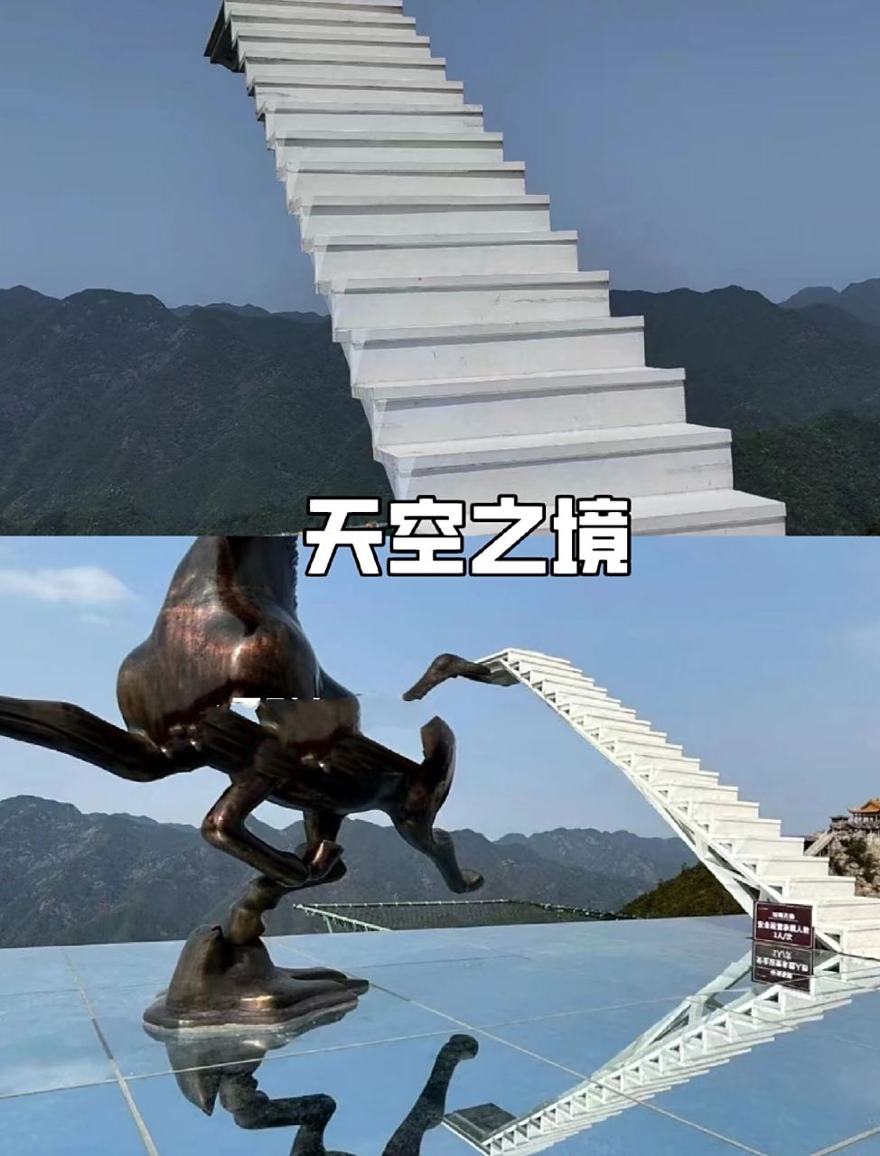 aa4adec169b618de9ccdc8964be08814.jpg@h_1280