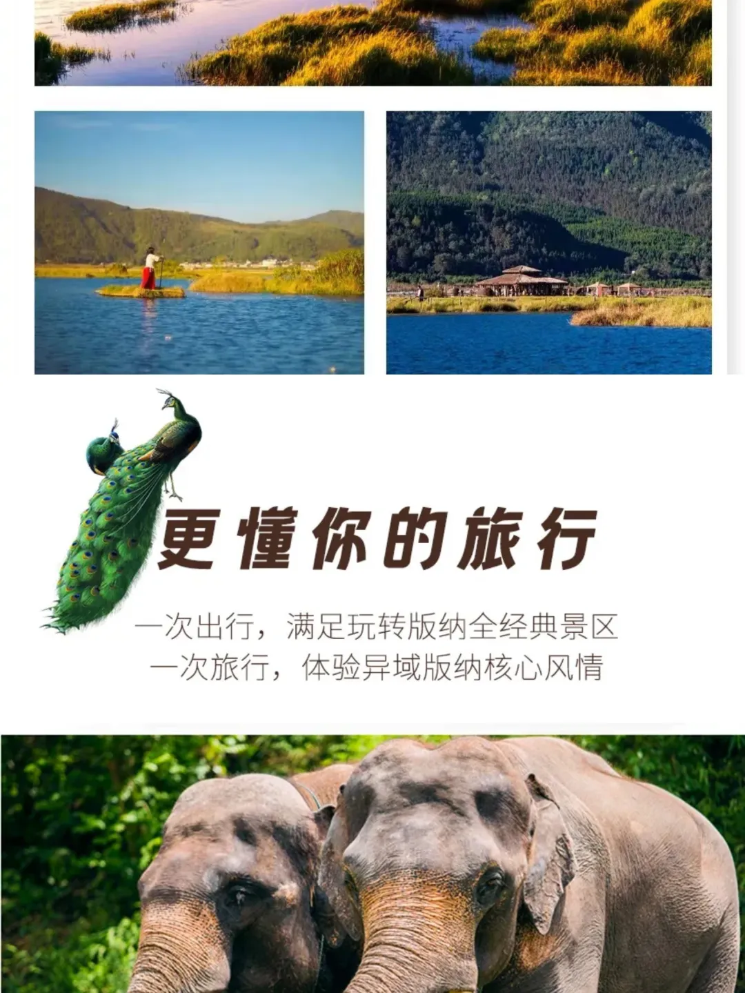 aa6378367263ce87e5c4119efcf38b2f-sz_579440