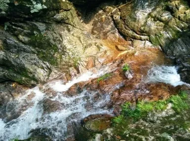 aa7bb48ffafce4f2ce54133b407cdda0-sz_319689