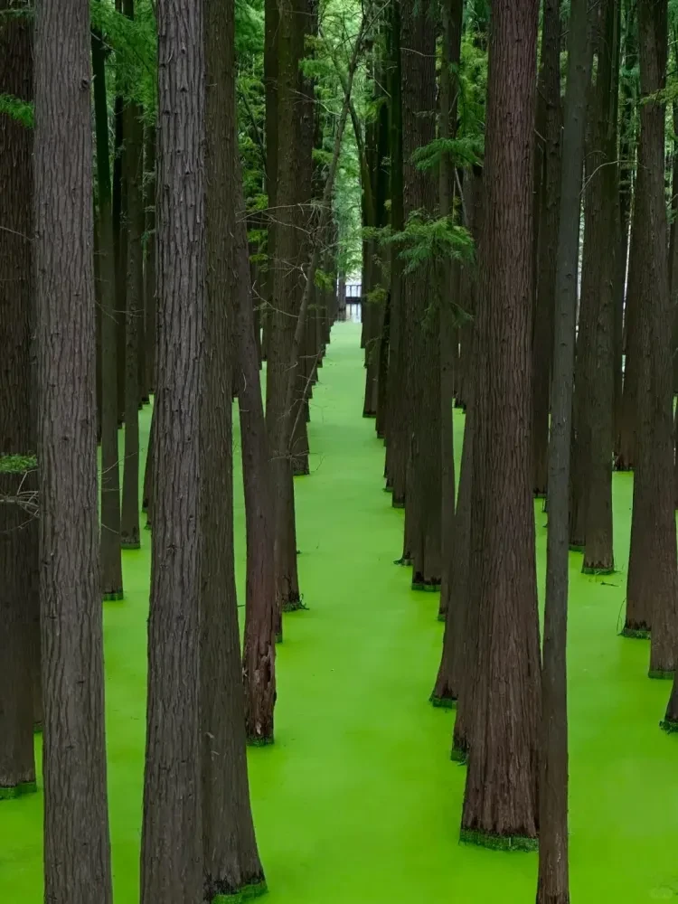 aa7d5a4f72d835478c1941e3e155441f-sz_2965889