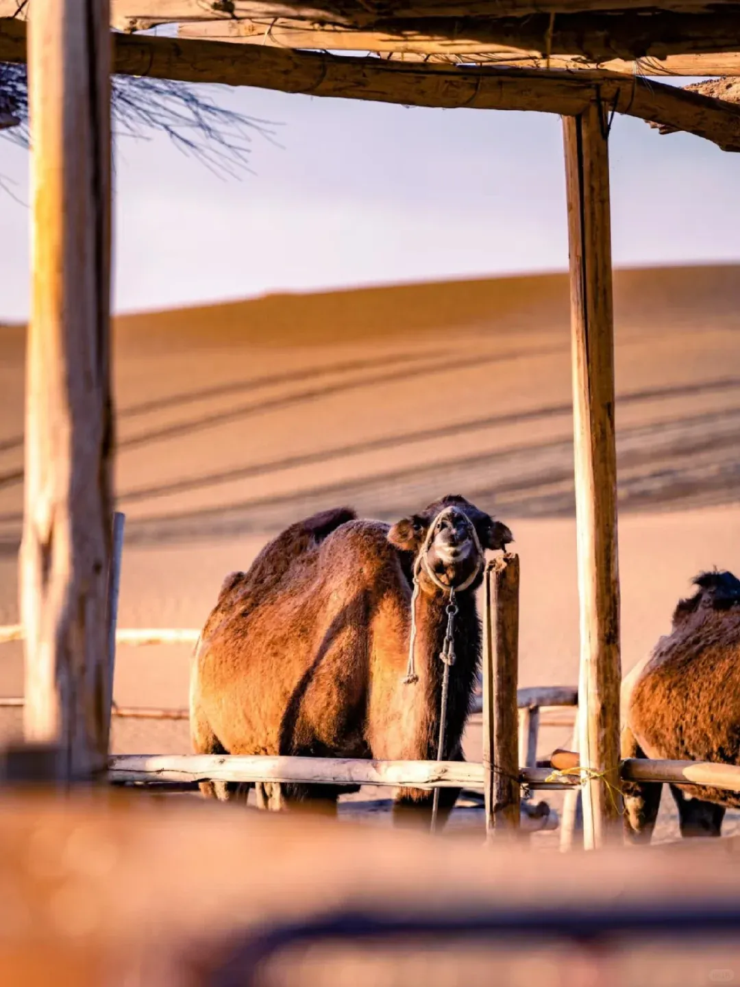 aa98aaa8ff531be4ebb3c5ea101a1305-sz_2619083