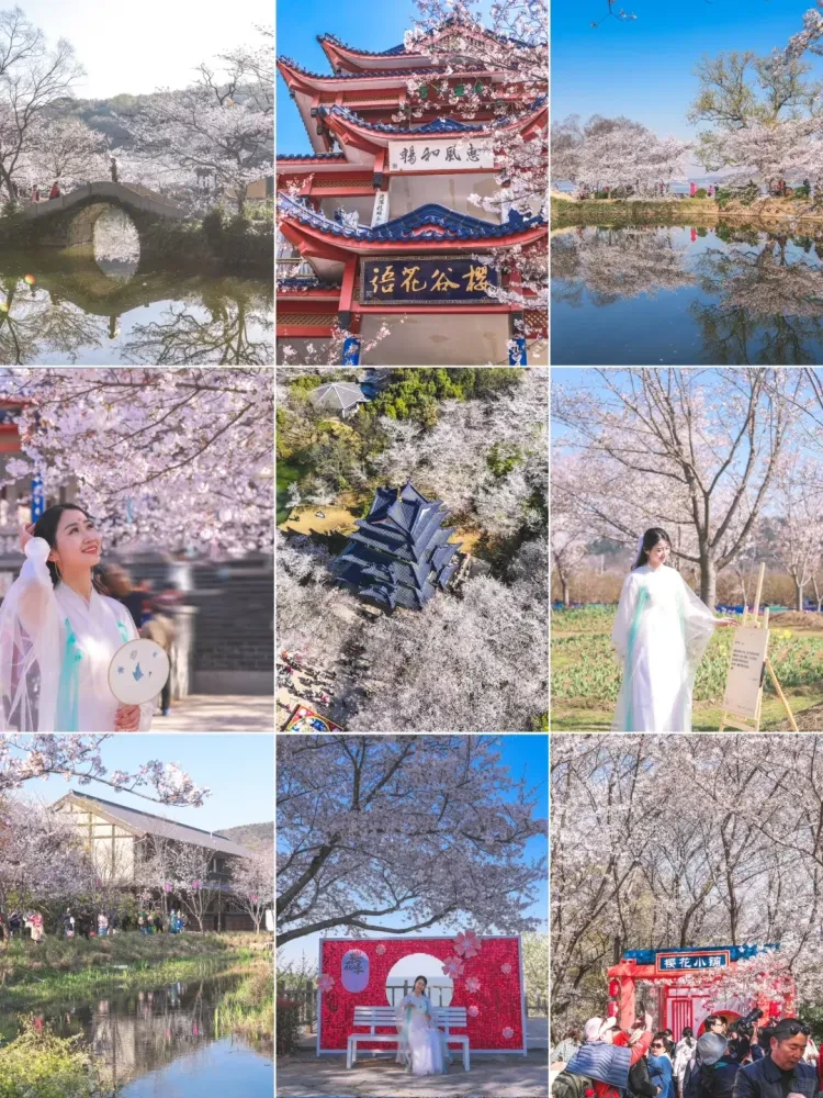 aaca436b063a2d3691c86d589368ec29-sz_3892693