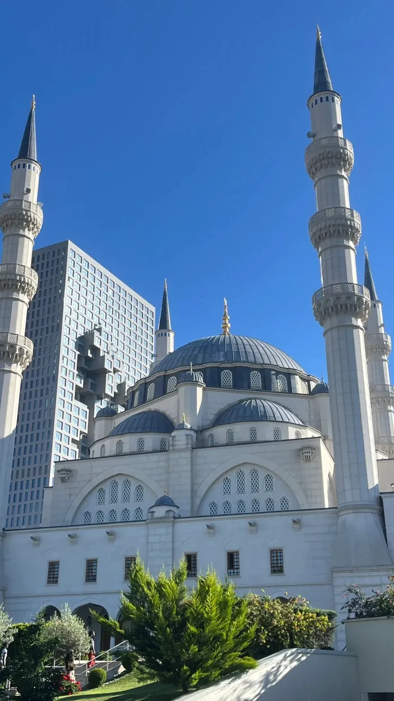 aacff57497793c86ff45a618b85c5729-sz_320703