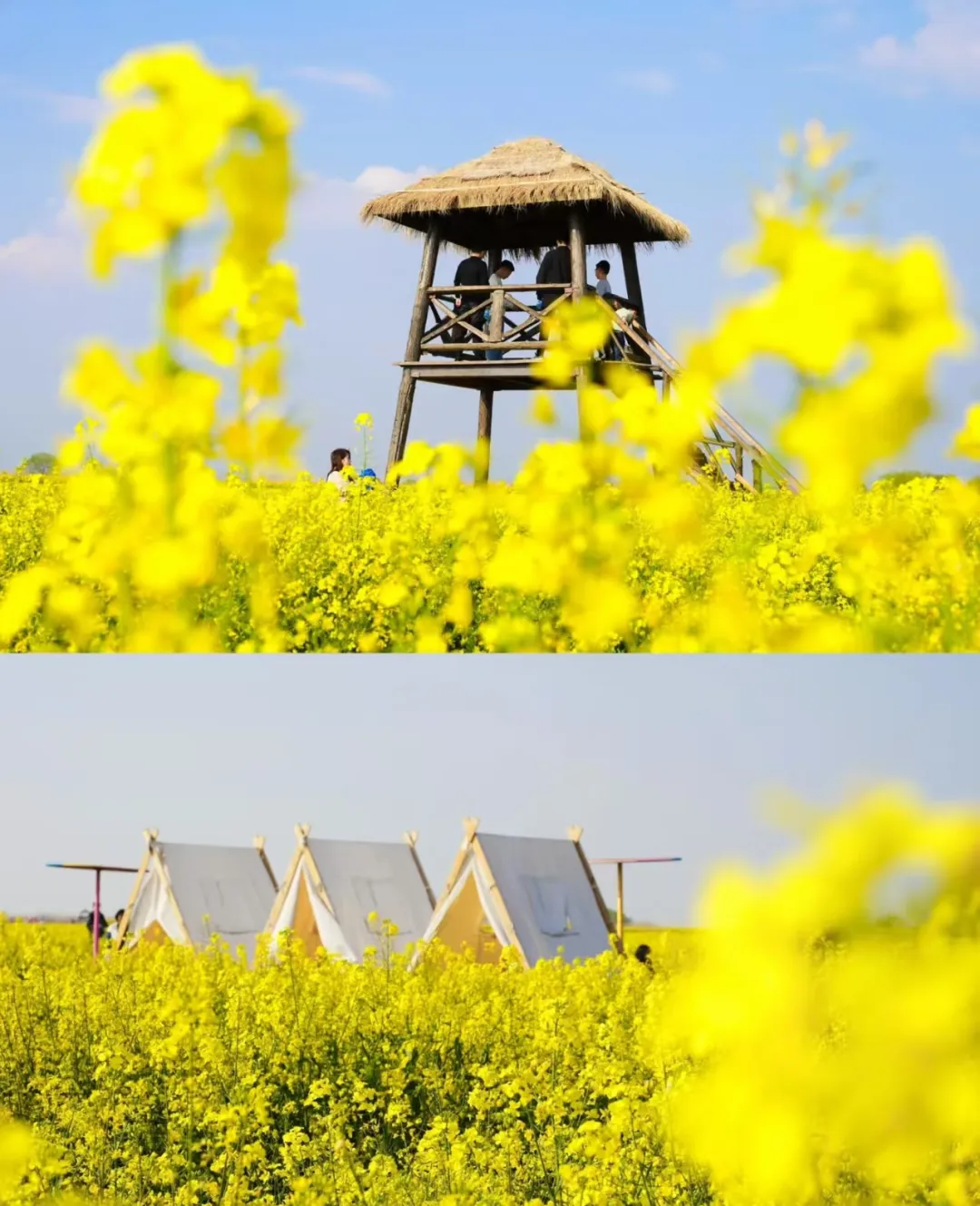 ab03a30f540a73855746ad6b92d3b70b-sz_1064920