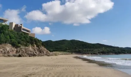 ab4125dd7af623f096d41e60d98e5b41-sz_173381