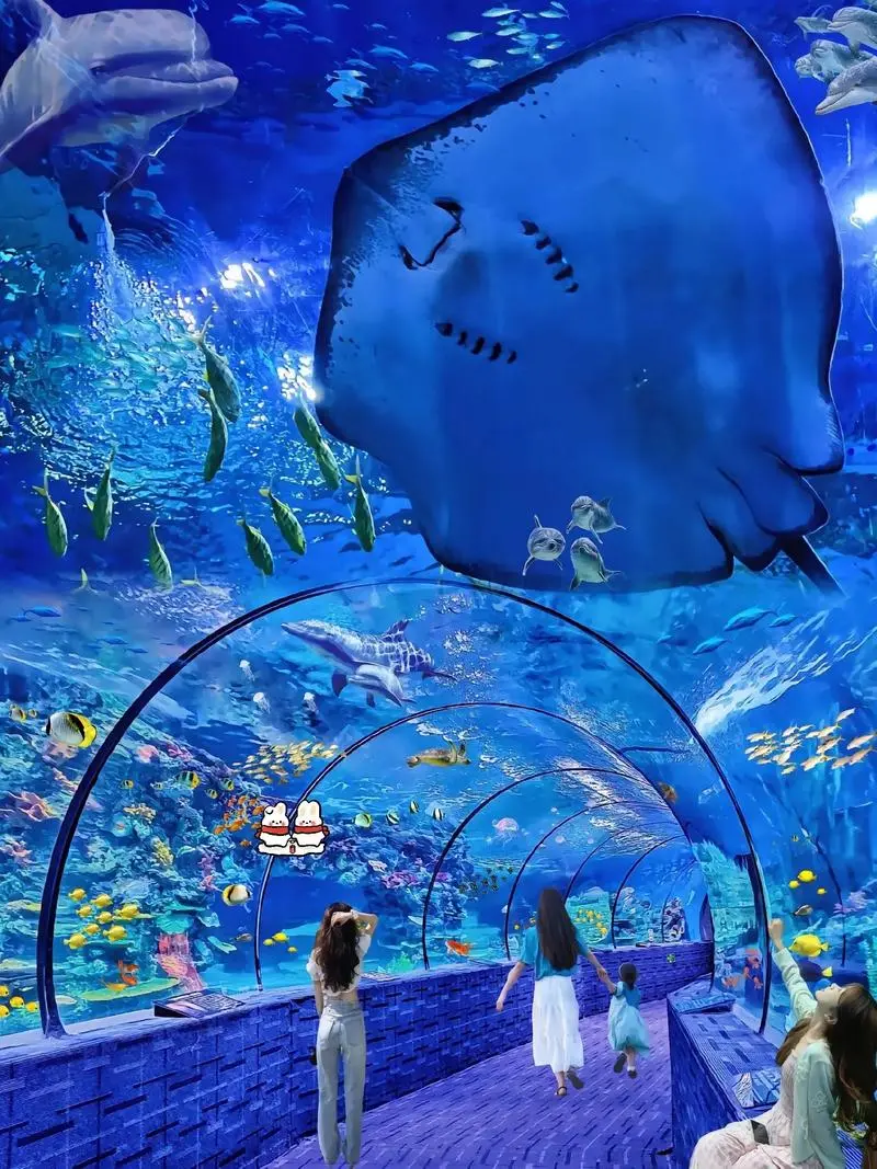 ab51ae908508ef473ba6e47117773dd8-sz_179292