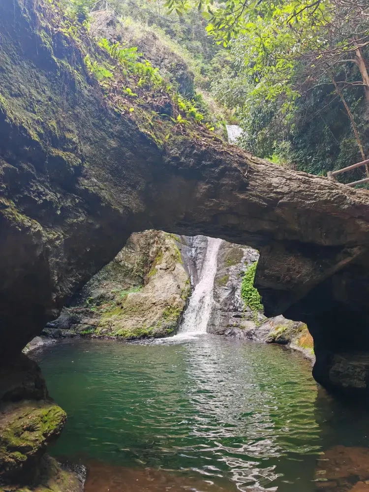 ab65d369119d625018ad05710450ff6a-sz_1118233