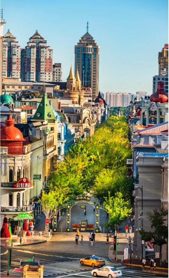 abc354369d77d74d444c1b7fefc999d2-sz_839289