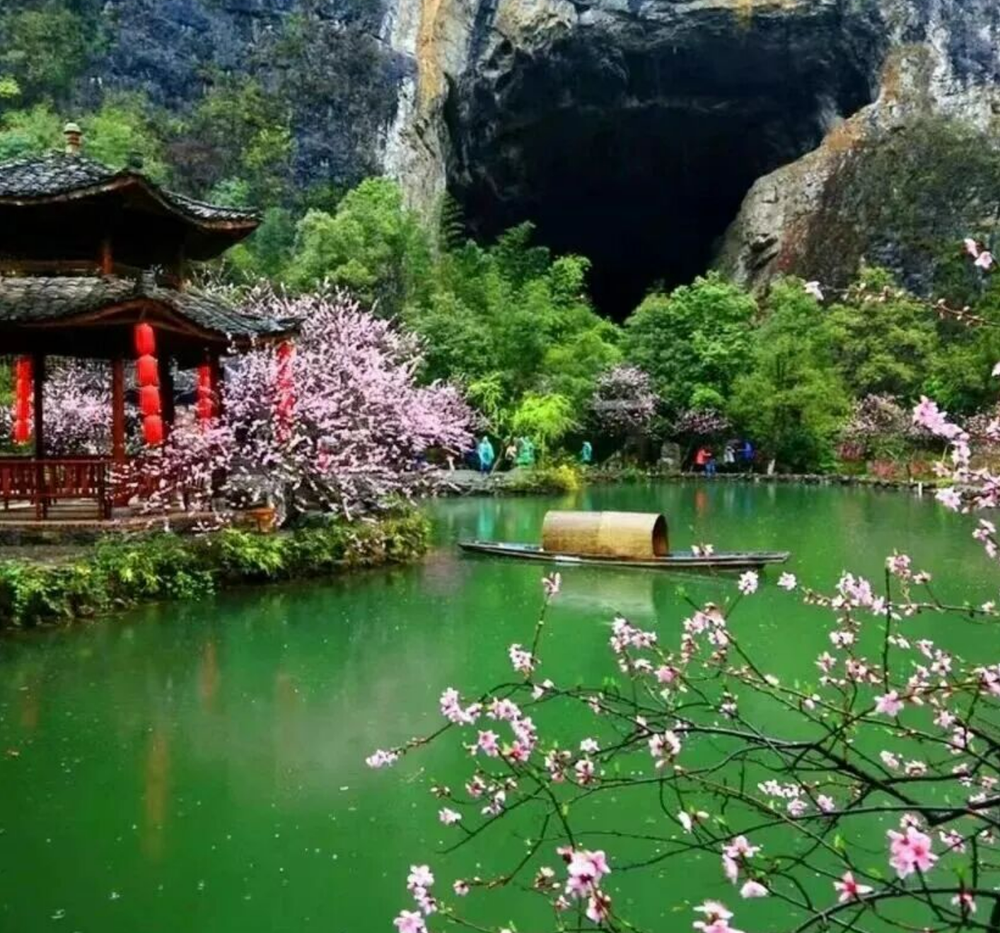 重磅福利,沪上独家【四省纯玩699元】千人游四省 一次浏览湖北、湖南、贵州、重庆双卧八日游