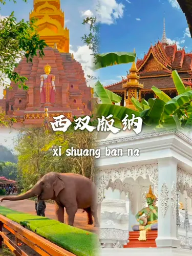 ac1c263eb361a1eb946ddd6985feeefb-sz_445792