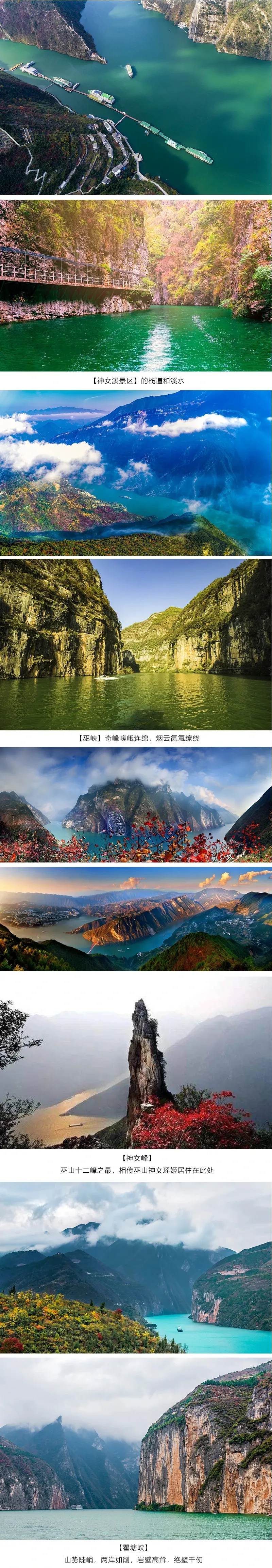 ac9a676990830bab9e1a79197cd6ec6d-sz_4137086