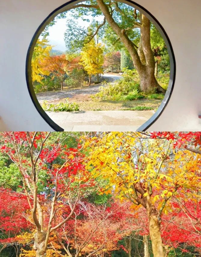 acbc1e374f74243d82caac835a4242f5-sz_1271516