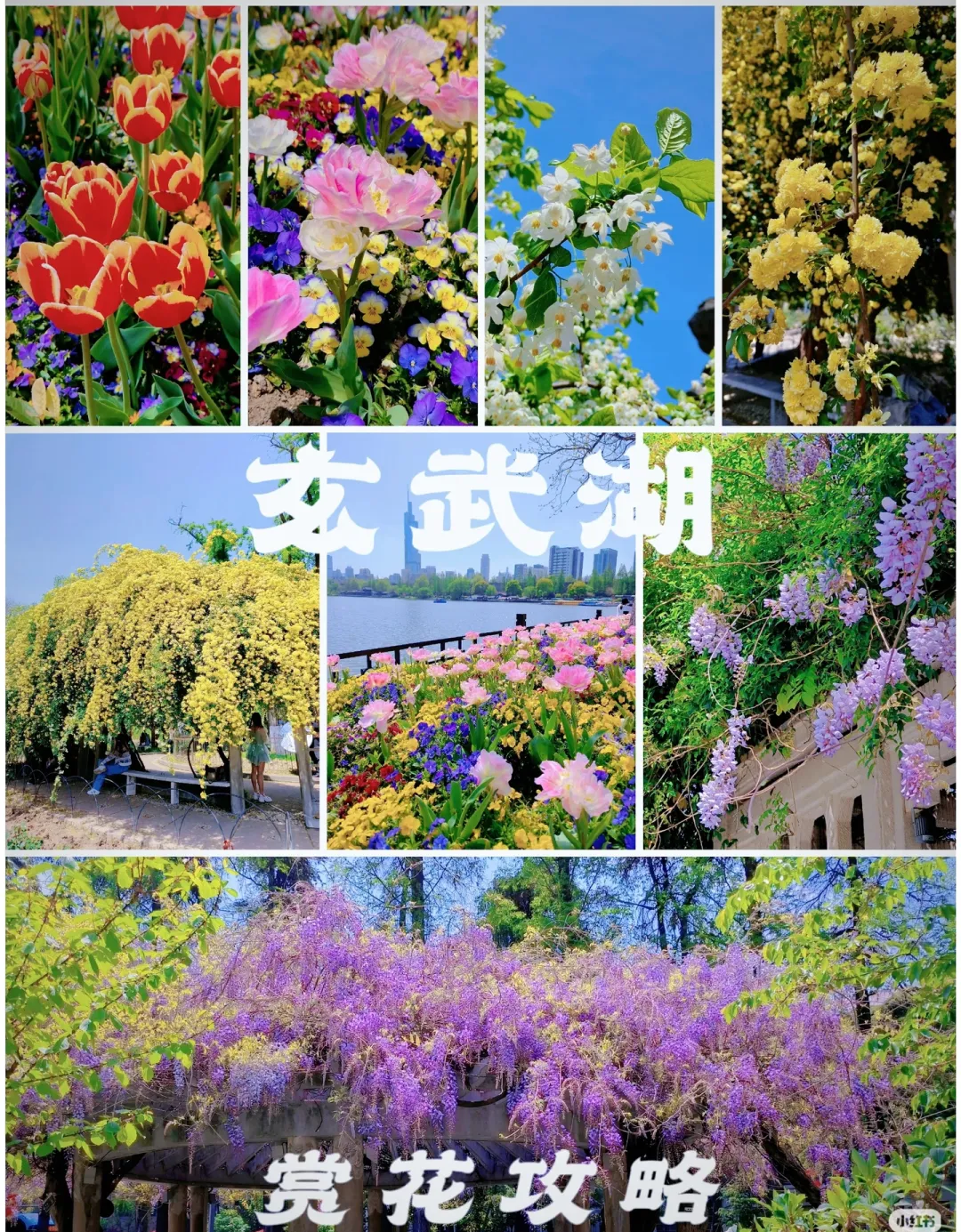 ace1479b0837af56b3a4609174b43a9a-sz_2648298