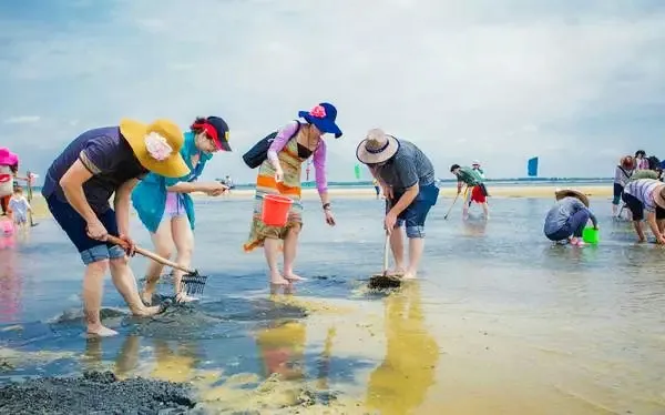 ace82a2ffbb6d1625b42ef6d8de74335-sz_247966-1