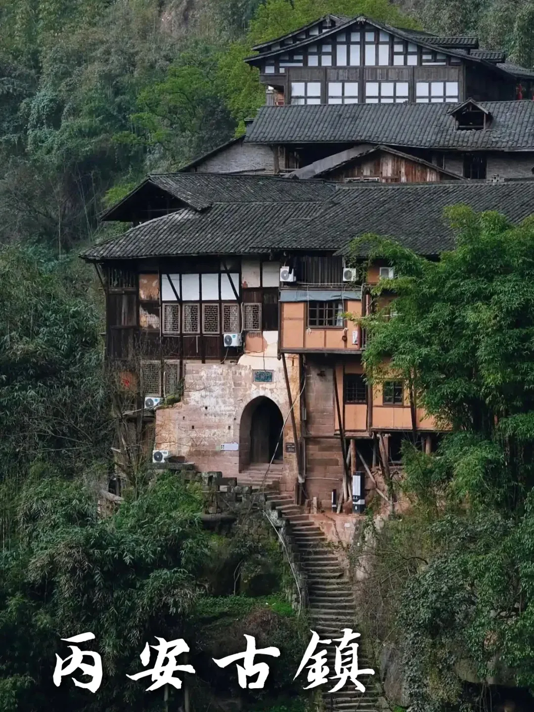 ad1b515f681846ceac91d33d3728503d-sz_3003558