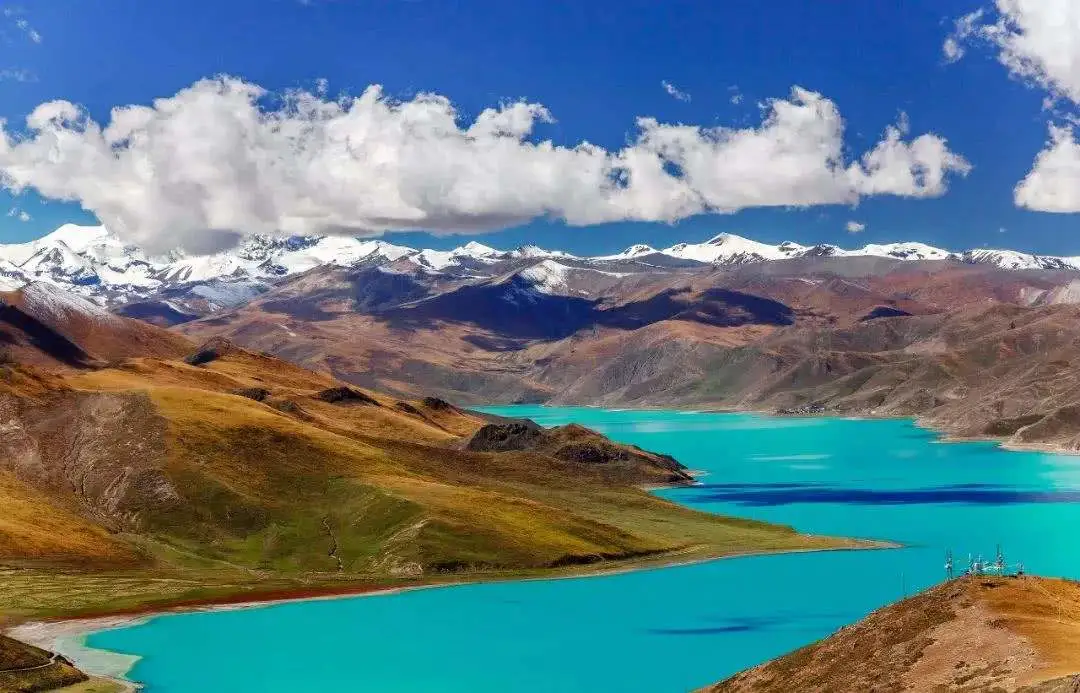 ad45c52ca063f43f2093cc0e7982ce0c-sz_95865