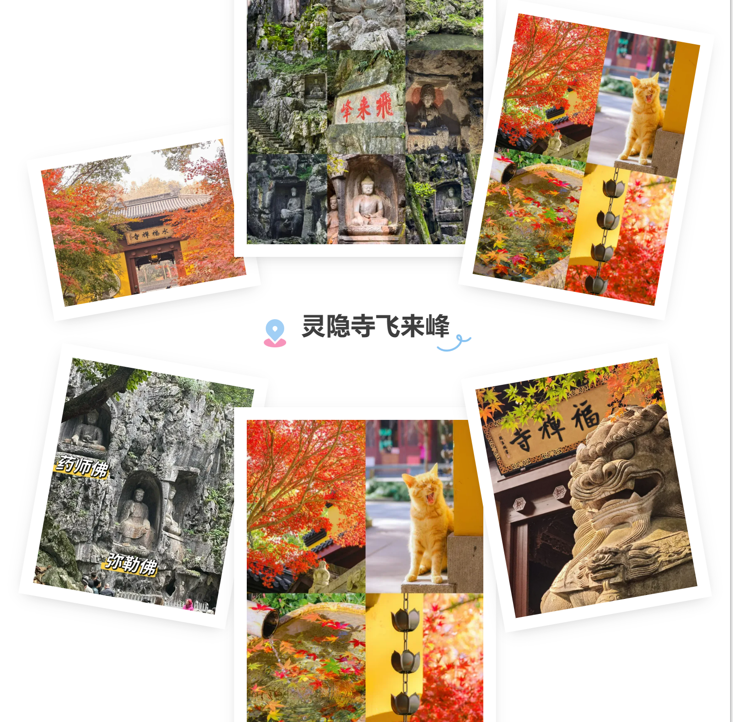 ad4eaf1025fefd3a54bfd9b6a3bd1a5e