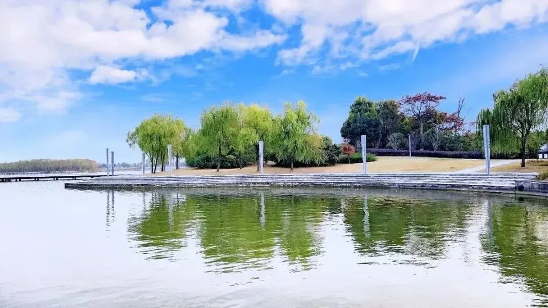 ad664bf25f6b69a38759769b8881e999-sz_1235458-1