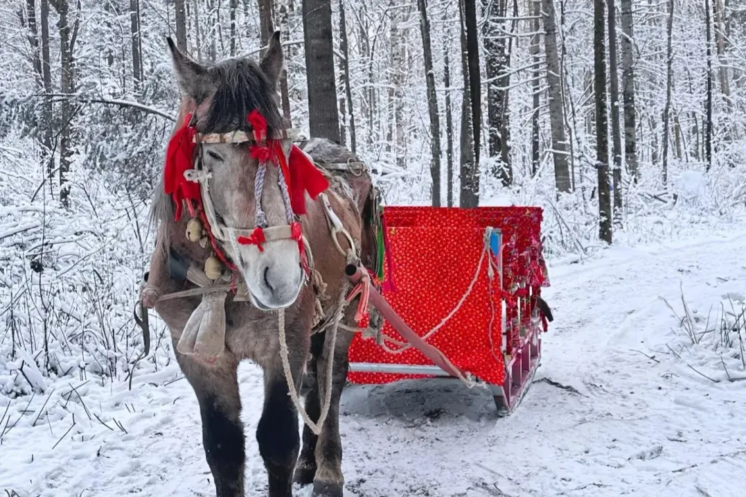 ada420d462a70f54978d7b3cfedd2139-sz_647622