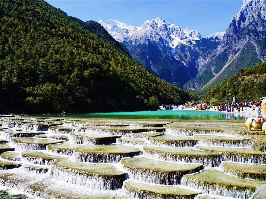 ada4c113f7ba8e6bab46634fbc88ee90-sz_175298