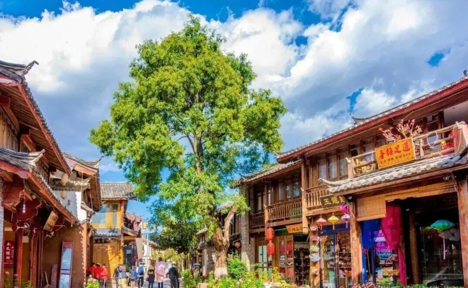 adc63e5ec5a87a7dbcd6b69ea27cb04e