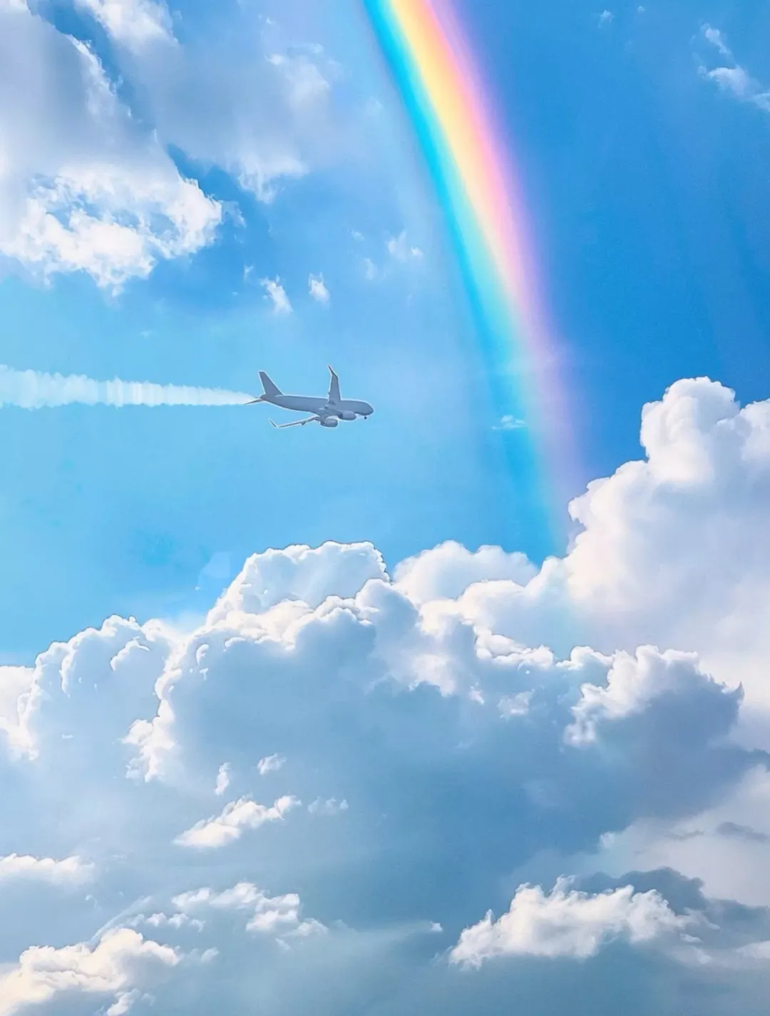 ae03f94ff2c40068df9cd08d34bffeea-sz_3806377-2