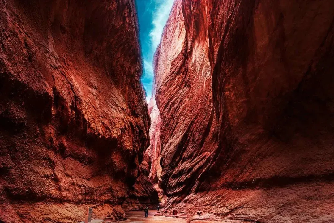 ae08ff5cd093b8a48d347435d9007349-sz_276933 ae08ff5cd093b8a48d347435d9007349-sz_276933