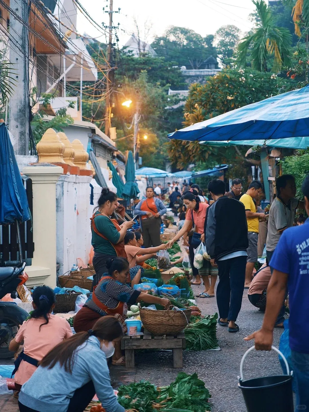 ae29e21f2881b1b4d7f6a747f2a949d2-sz_519912