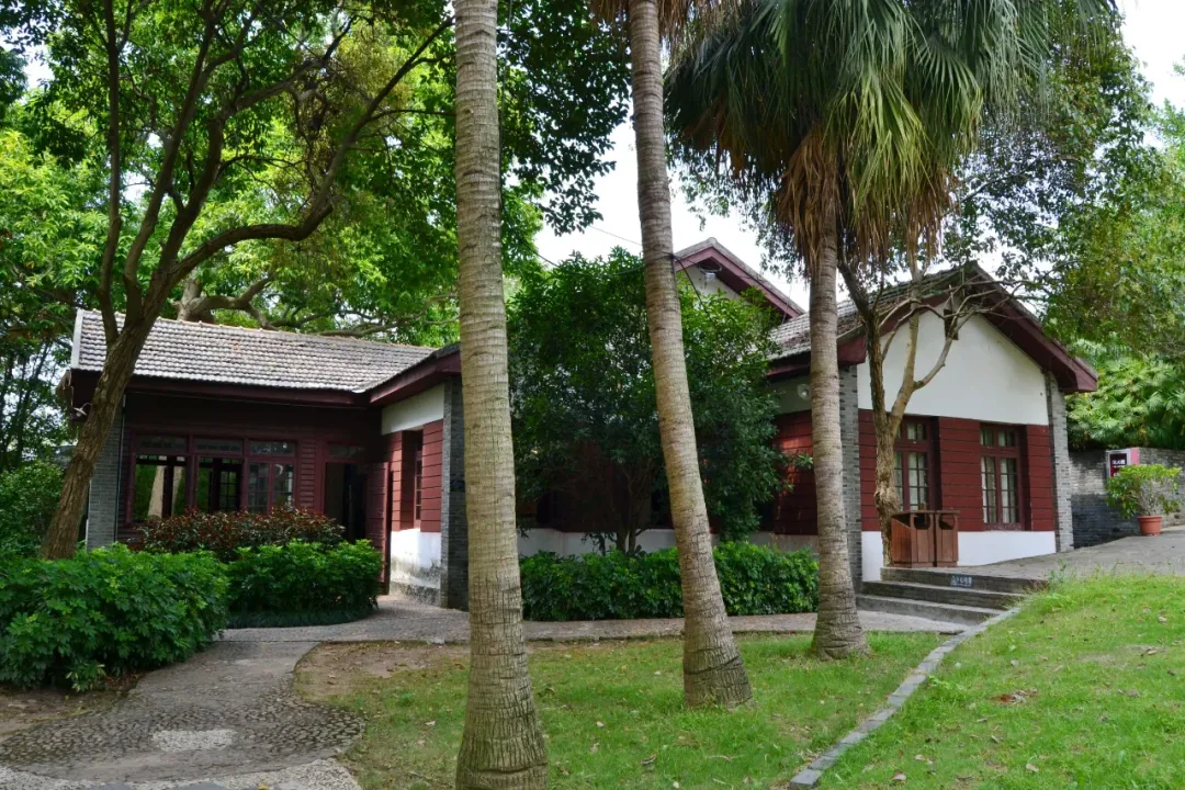 ae431796c87eb7189d69579aa301925d-sz_2480127