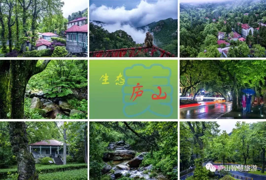 ae8a87556a0f1303b193a1191ac11973-sz_429759 ae8a87556a0f1303b193a1191ac11973-sz_429759