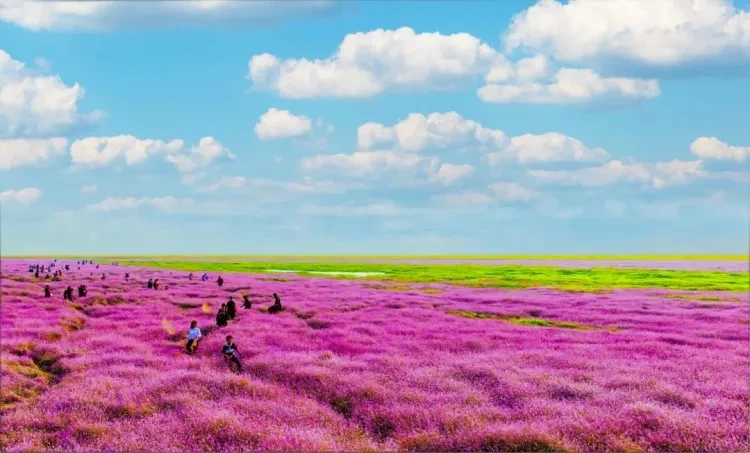 aea304da0d9b12f6388605aadd3feeba-sz_126746