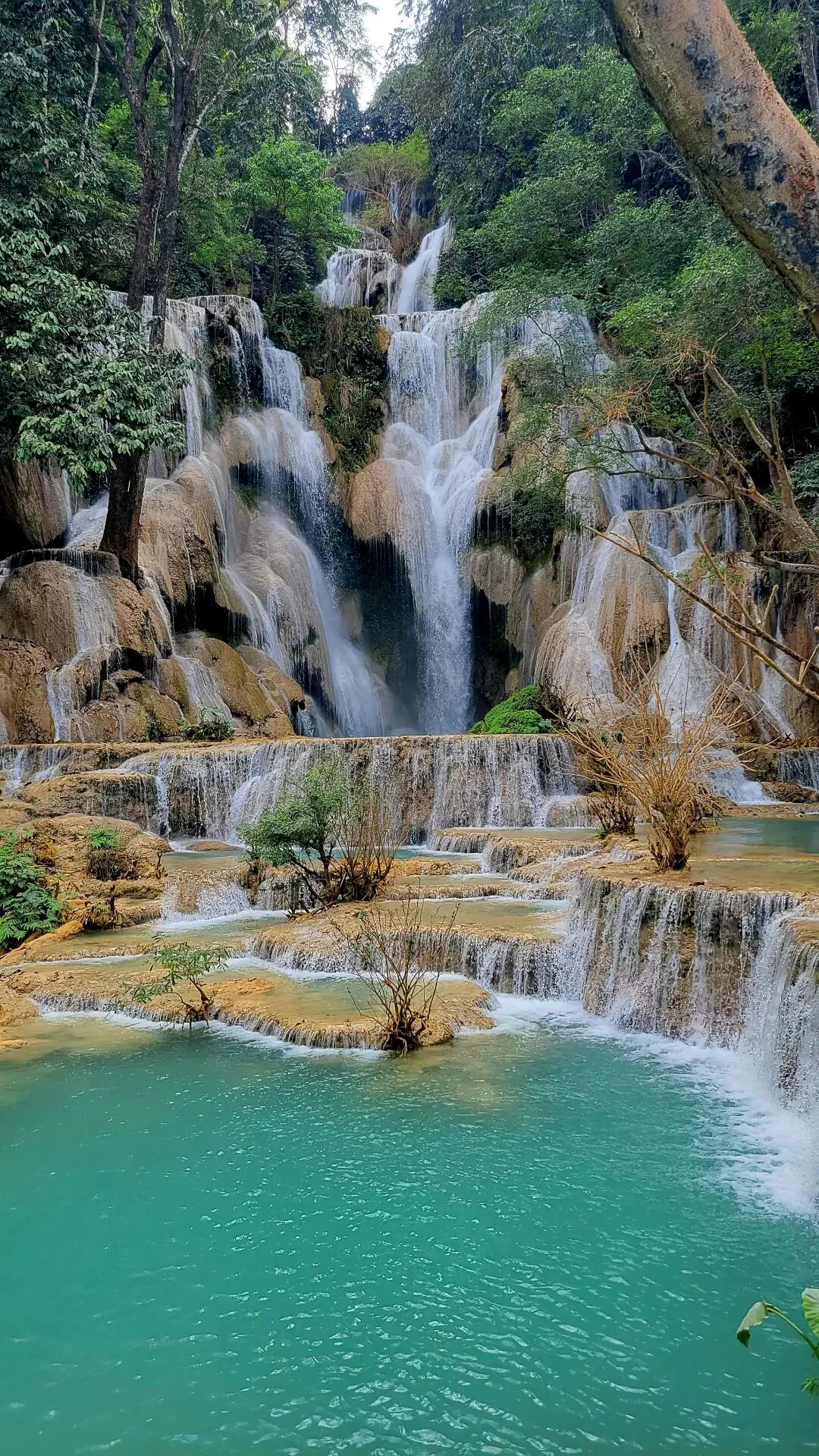 aec4a299bee5a3bf1accf9932ce8cc95-sz_682265