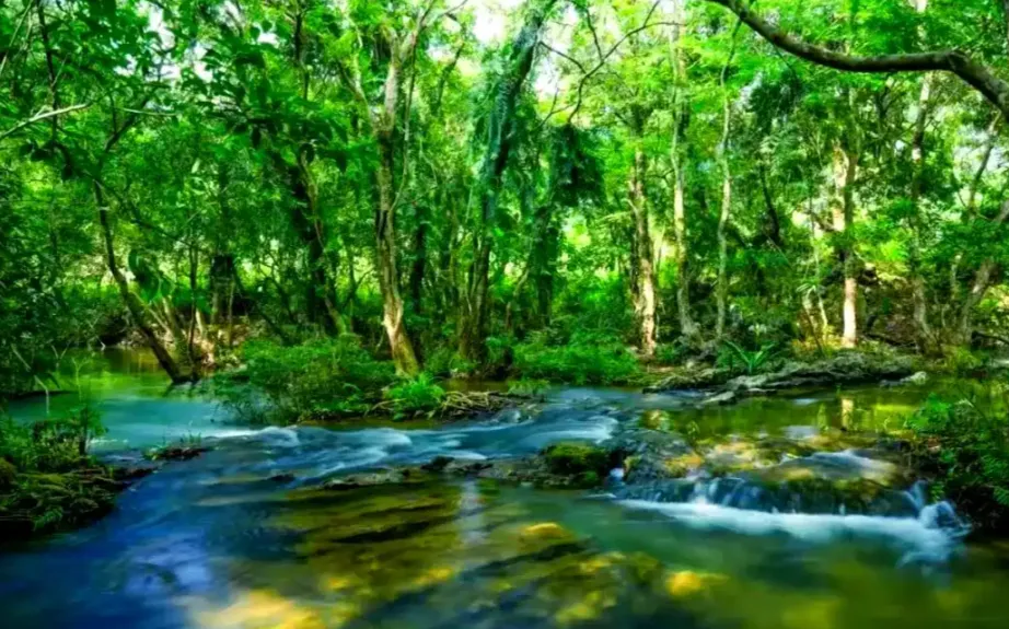 aeefa45c86a4d0e0d60a9f1581b745f8-sz_1596652