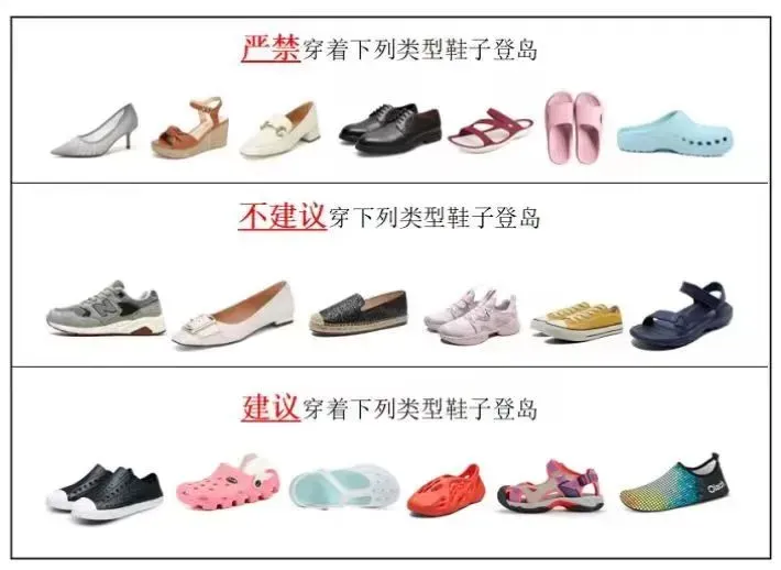 af0840340bde67c8aea228a82ec77460-sz_262509