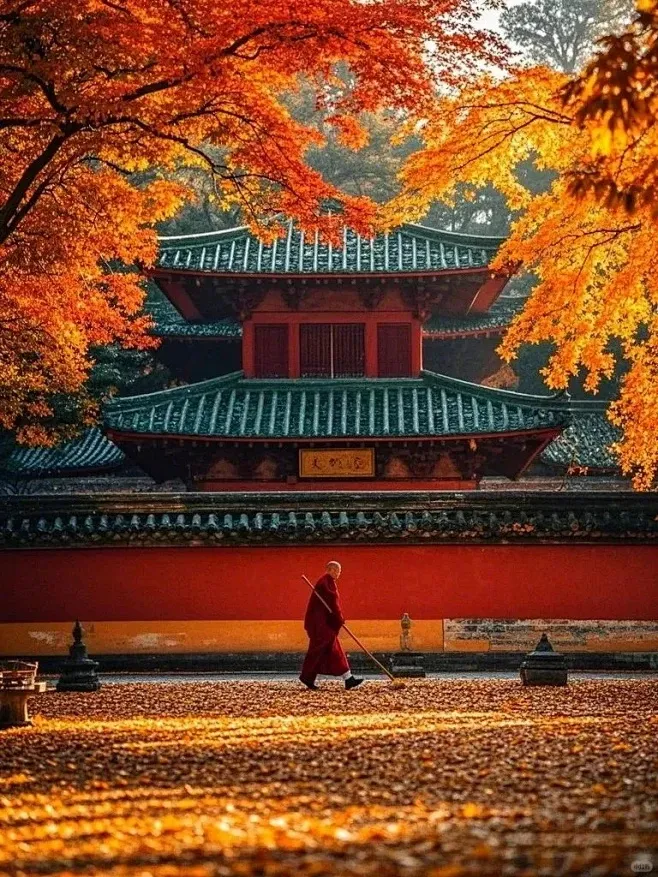 af14e1c6b2af43bf8add148abdc100f7-sz_360002