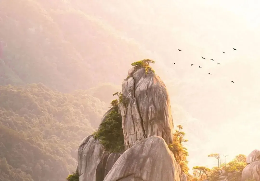 af63200a1abc6e65ff0f6209b9817daf-sz_63274