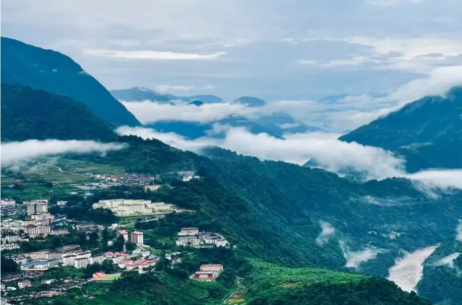 af6544f30bd6ca62653dbba12b51957d-sz_1166003