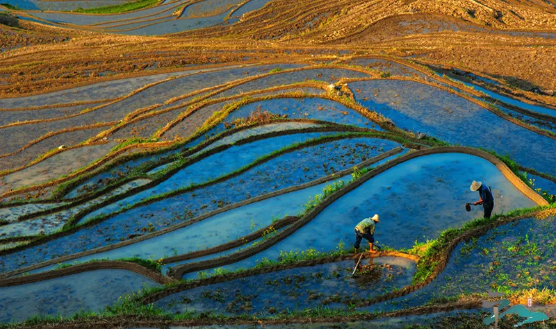 af927ec688df8d1a3c6401dde9851406-sz_228616