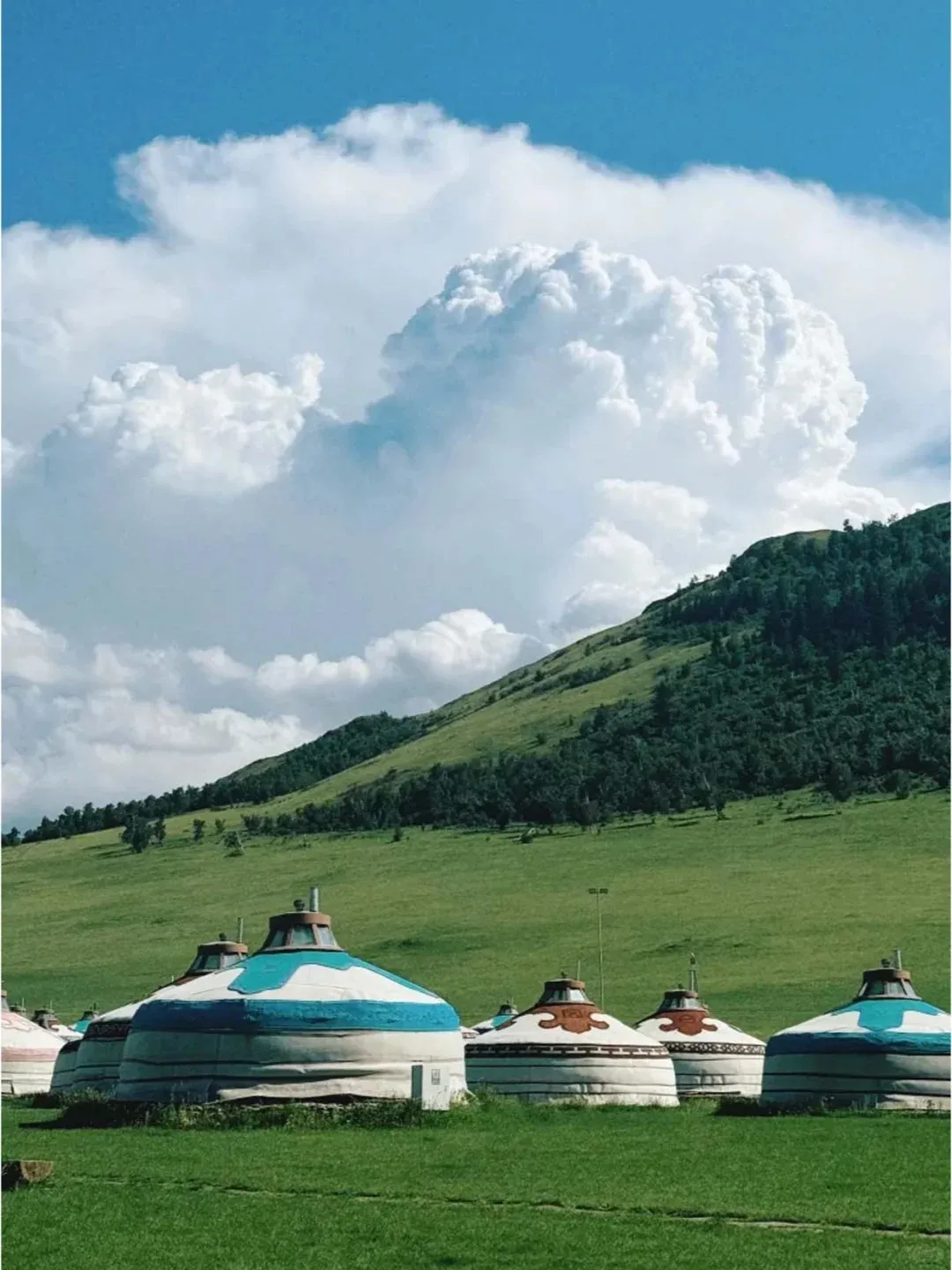 afcb9456e8d12520372aede1eed3f6c4-sz_271703