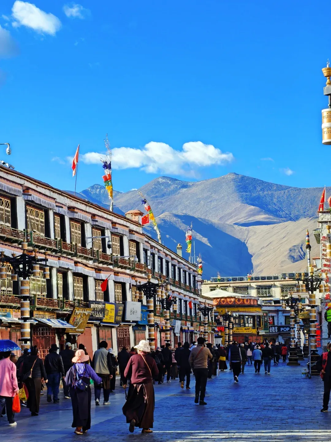 aff8a5efbe0d51ca1c9e9cea48afc5c4-sz_2130728