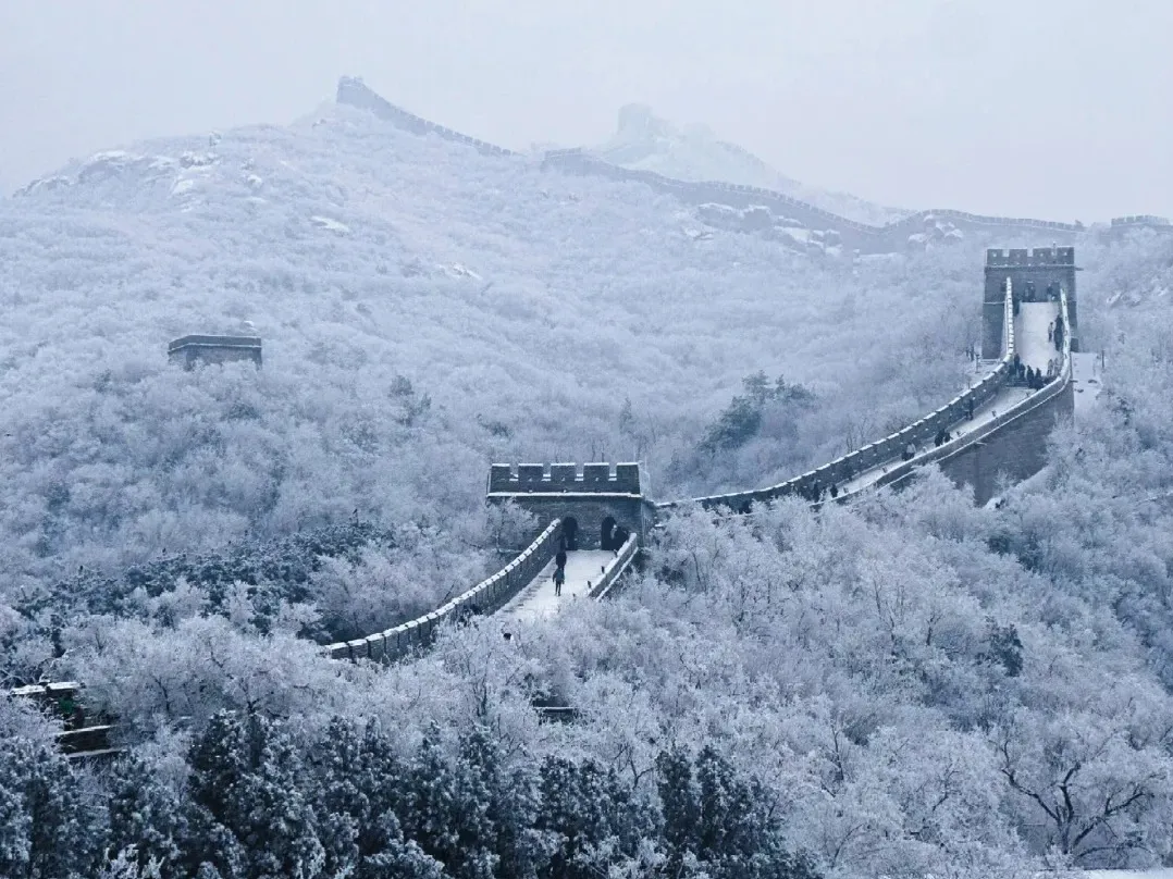 b005df9a867d531ce80d5e0f5a6be204-sz_533731