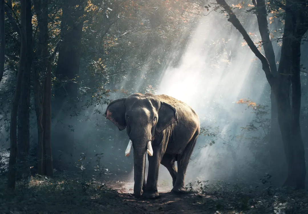 b00f2a27a77e31441af3a462a5f56c34-sz_653070 b00f2a27a77e31441af3a462a5f56c34-sz_653070