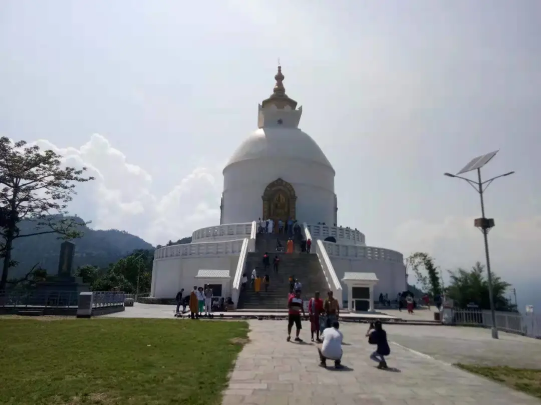 b0e60cedac0925f19e4db16f90a52dc5-sz_103381