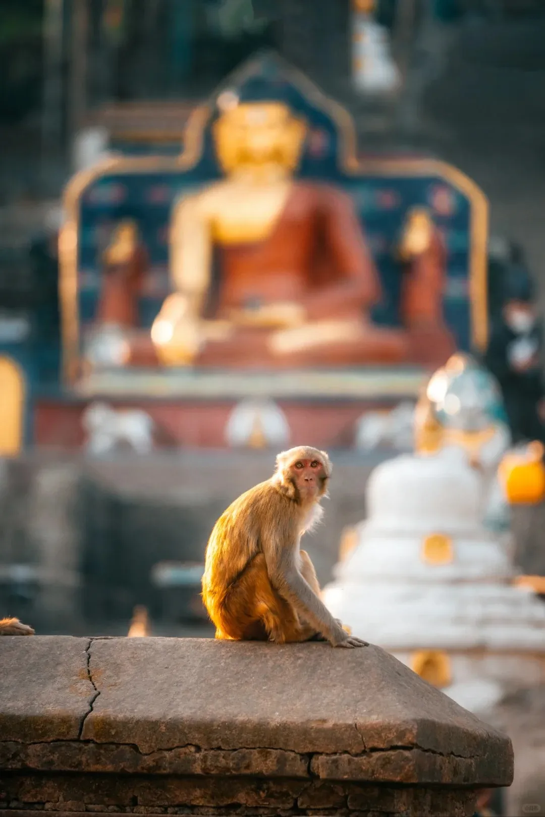 b0fbdc080a47bd0c280c014f51f0ce06-sz_259055