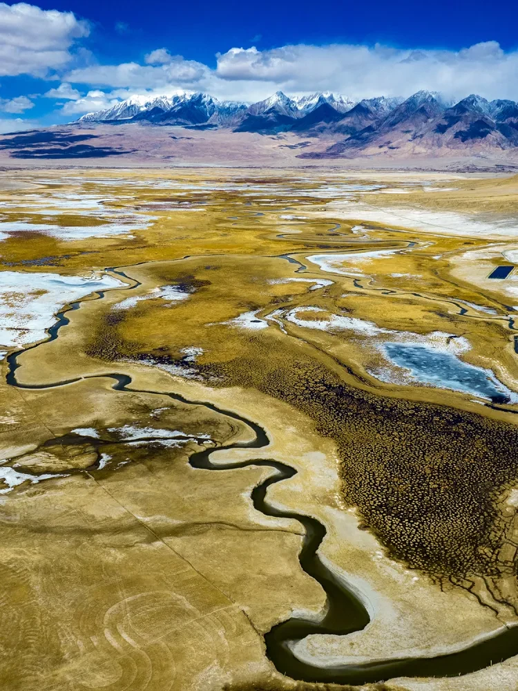 b1246ceaf7856488c7dd05e66ba7662c-sz_1250459