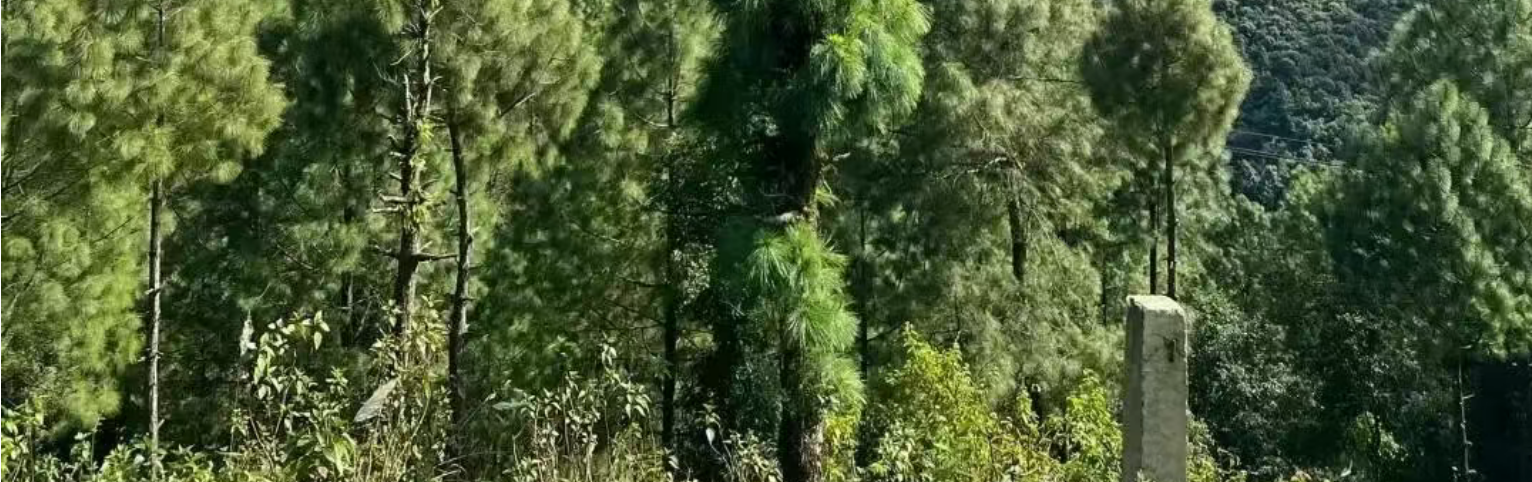 b12d9cef54b2d5455349b0dd18751876