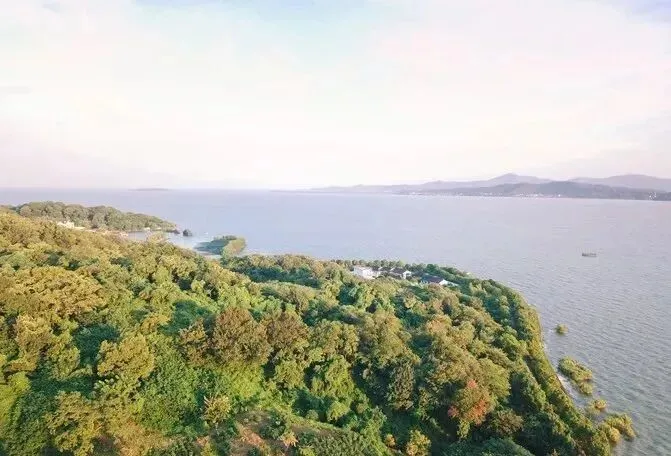 b13bc008c27b982ce3593d6b21858bfa-sz_59838